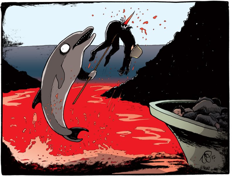 revenge-of-the-dolphins