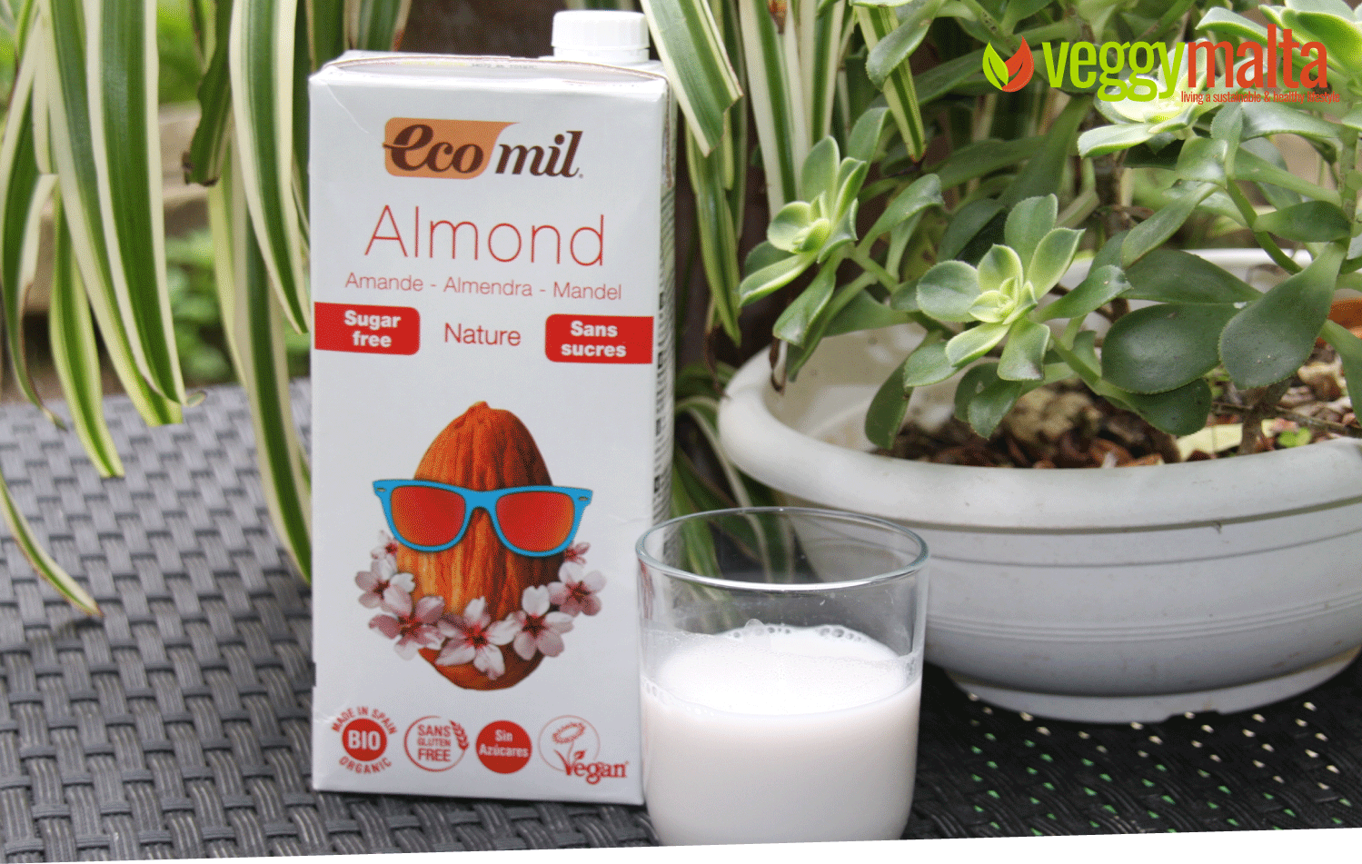 eco-mil-almond-milk