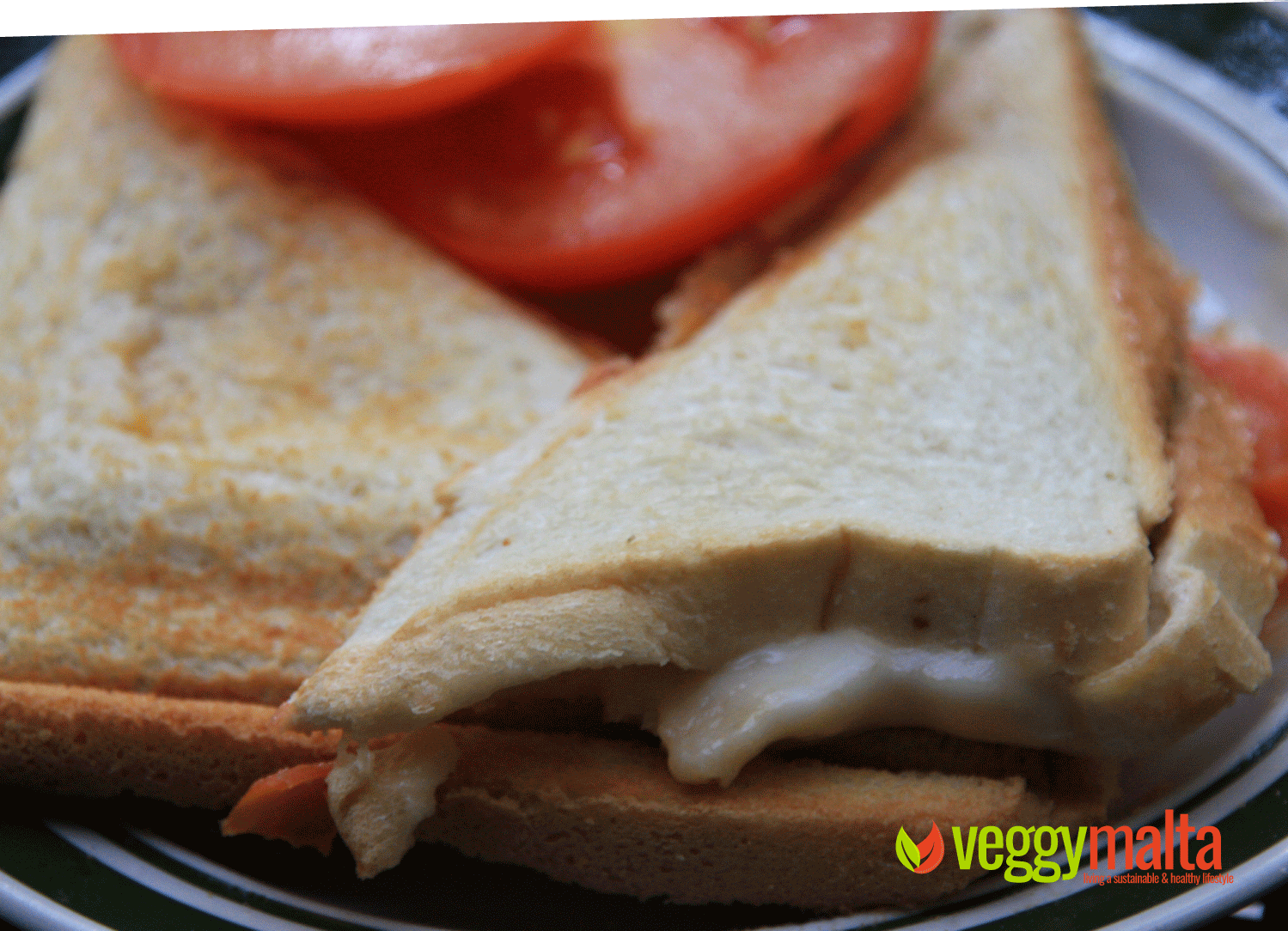 sheese-tomato-mozarella-toasted-sandwich
