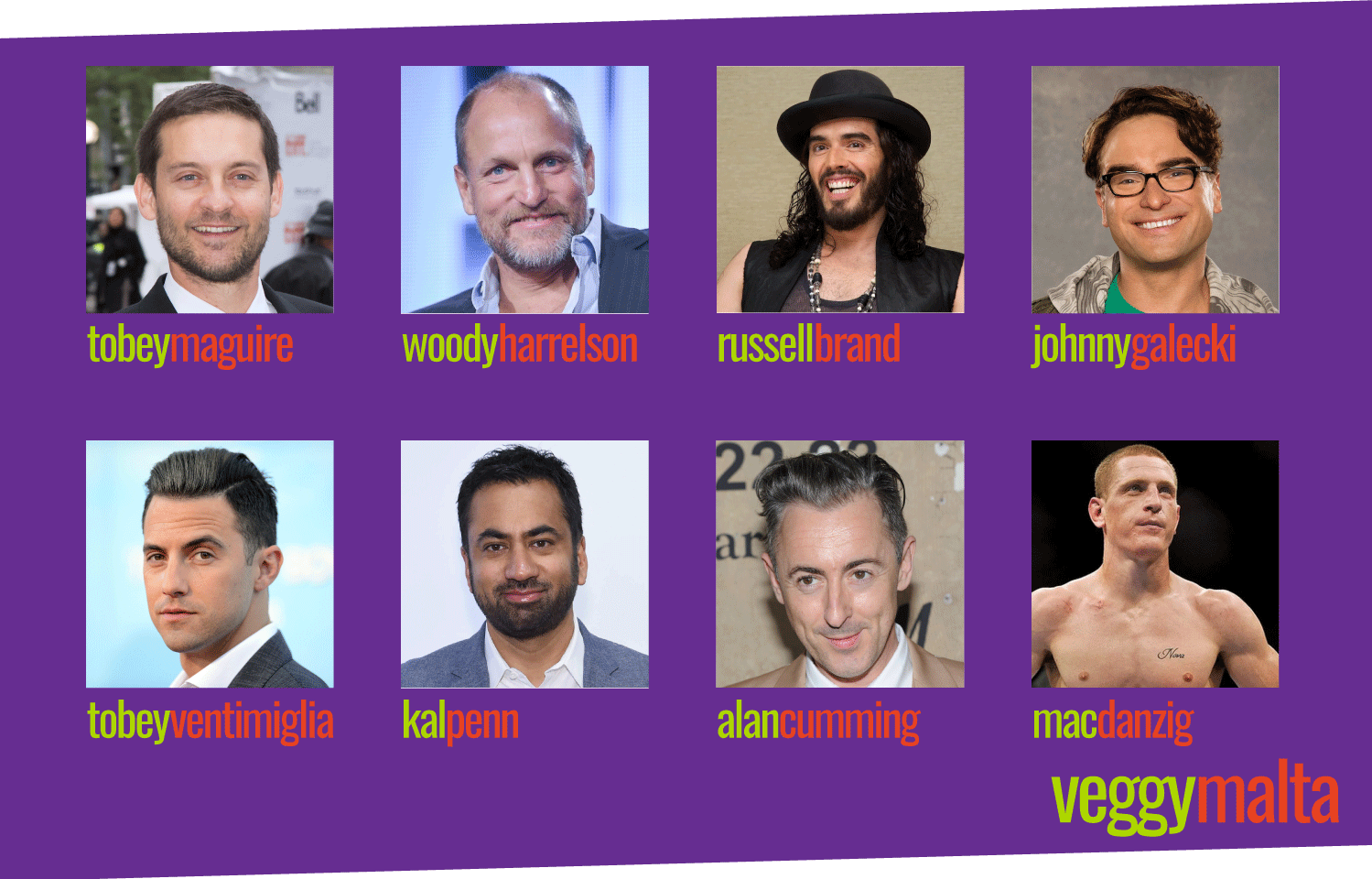 16-celebrities-can-you-guess-how-many-are-vegetarian-celebrities