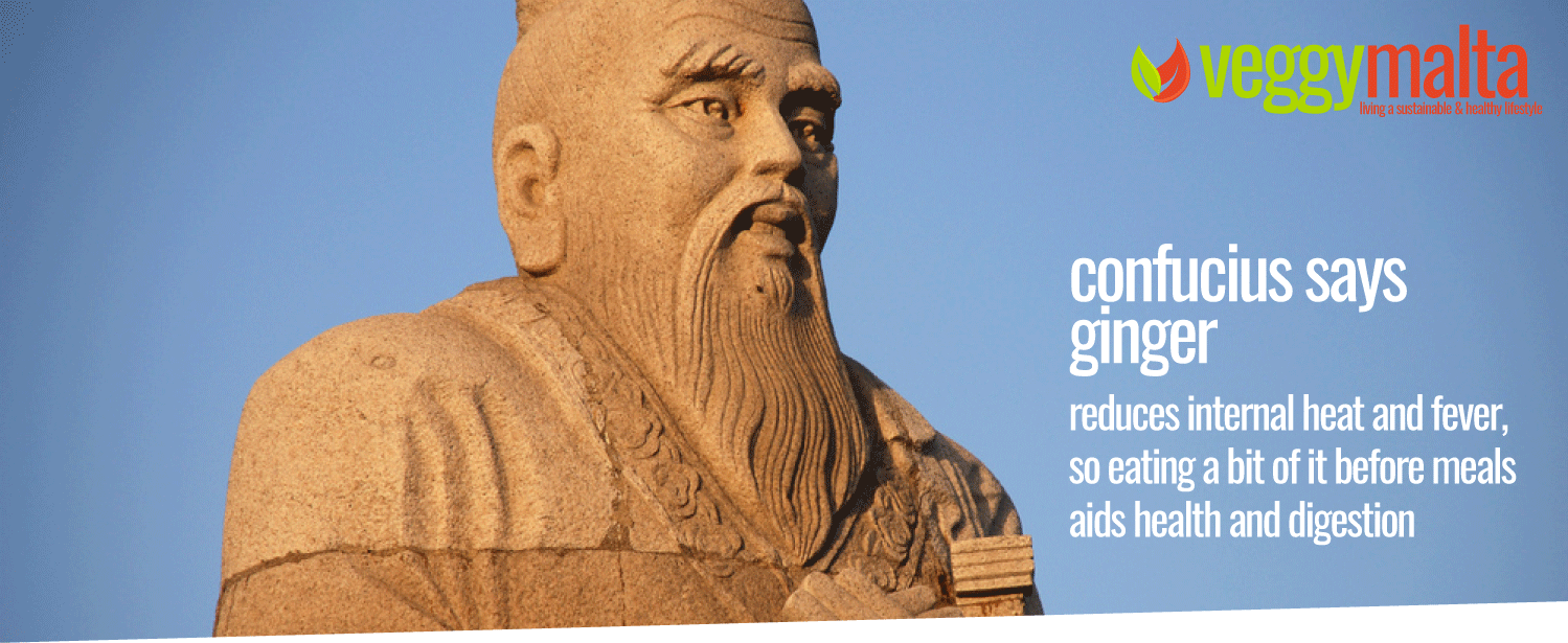 Confucius-on-ginger