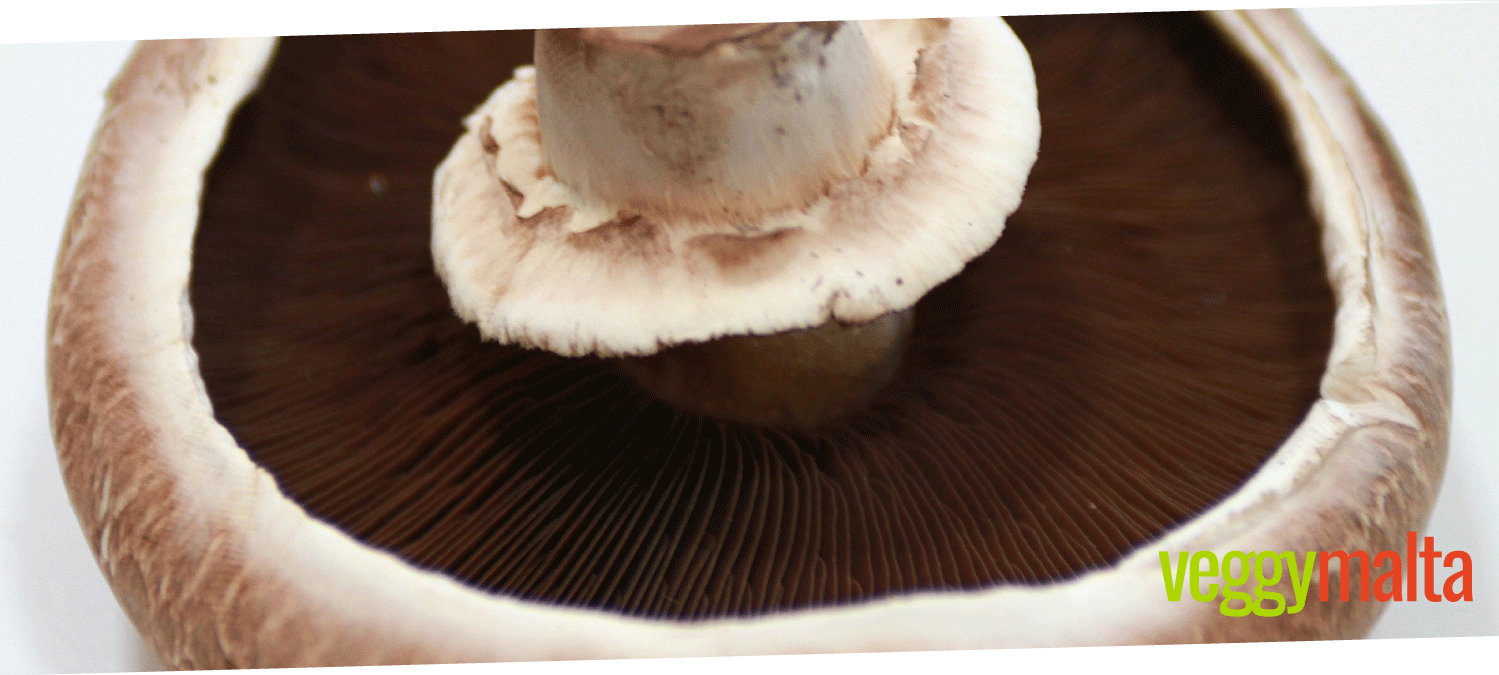 vitamin-d-mushroom