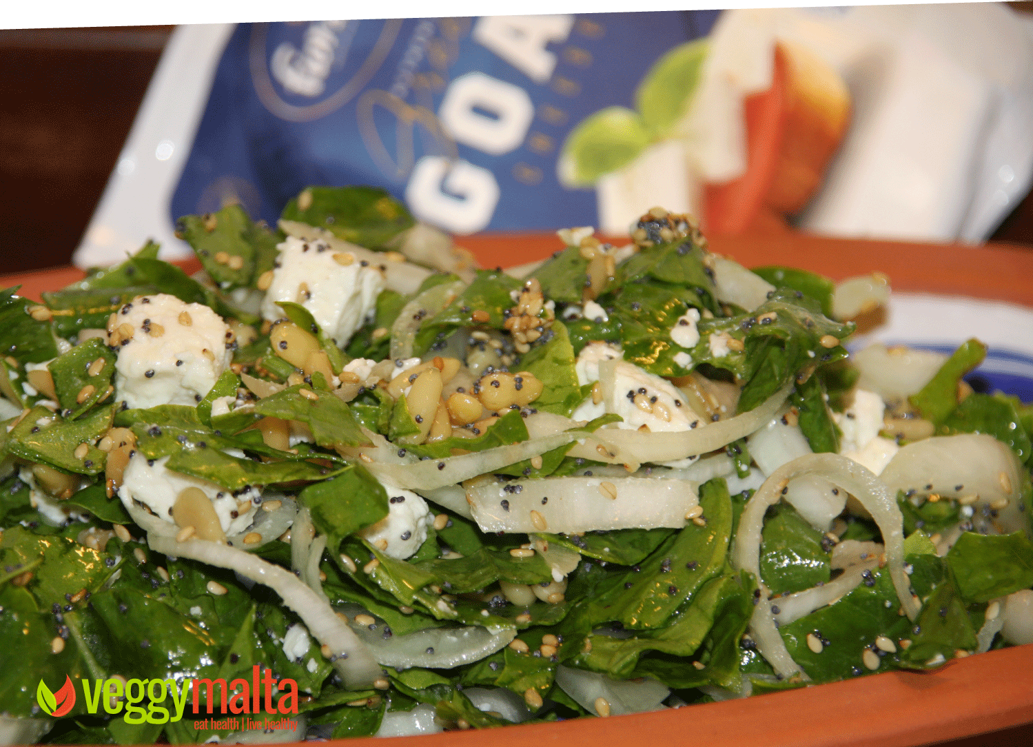 fior-di-vita-greek-goat-cheese-pine-nuts-spinach-salad