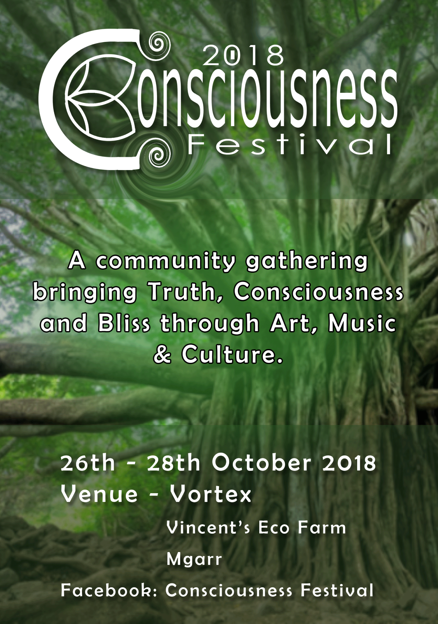 Consciousness Festival