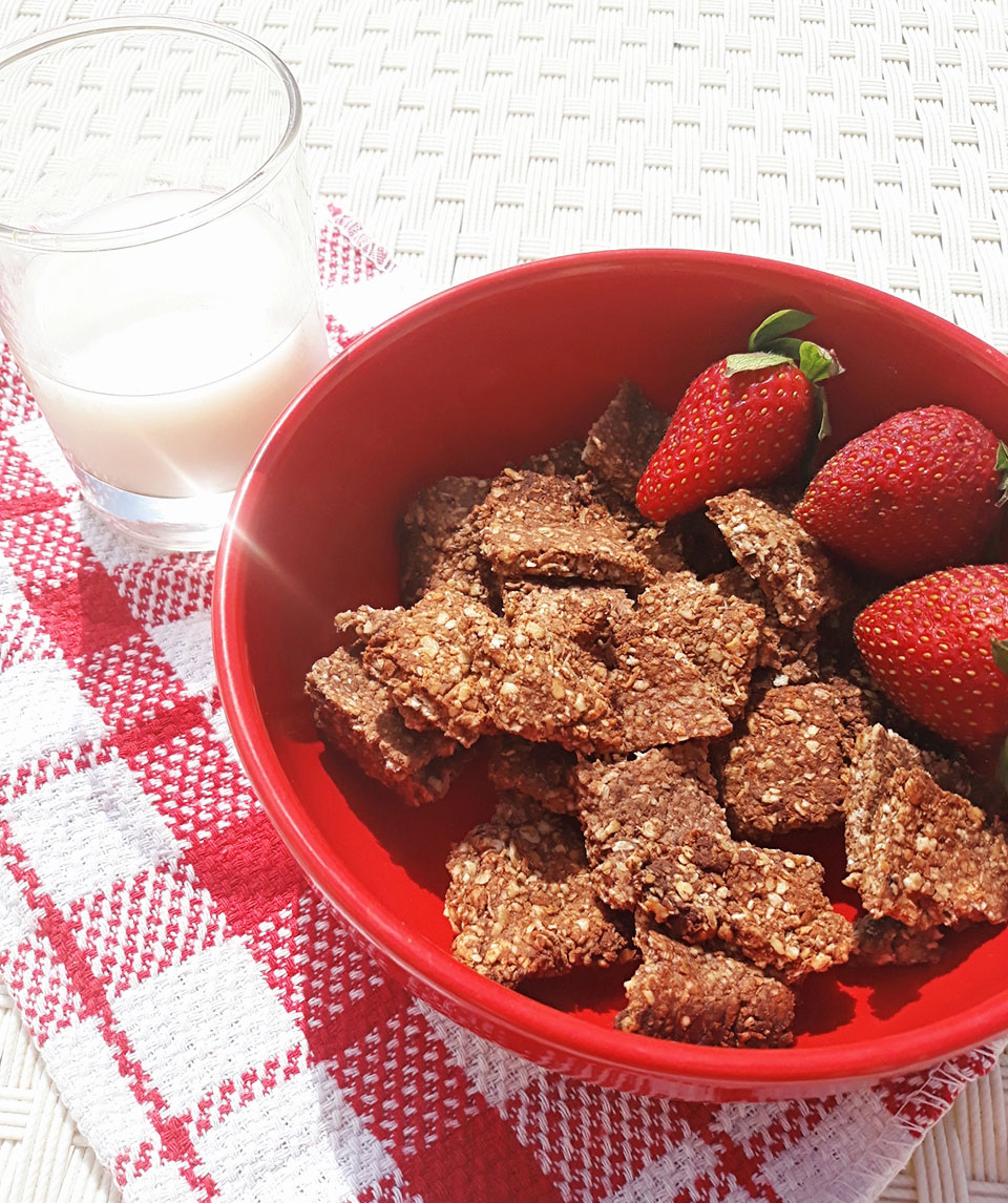 Healthy-oatmeal-chocolate-cereal-vegan