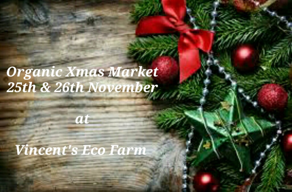 vincent's eco farm organic xmas event