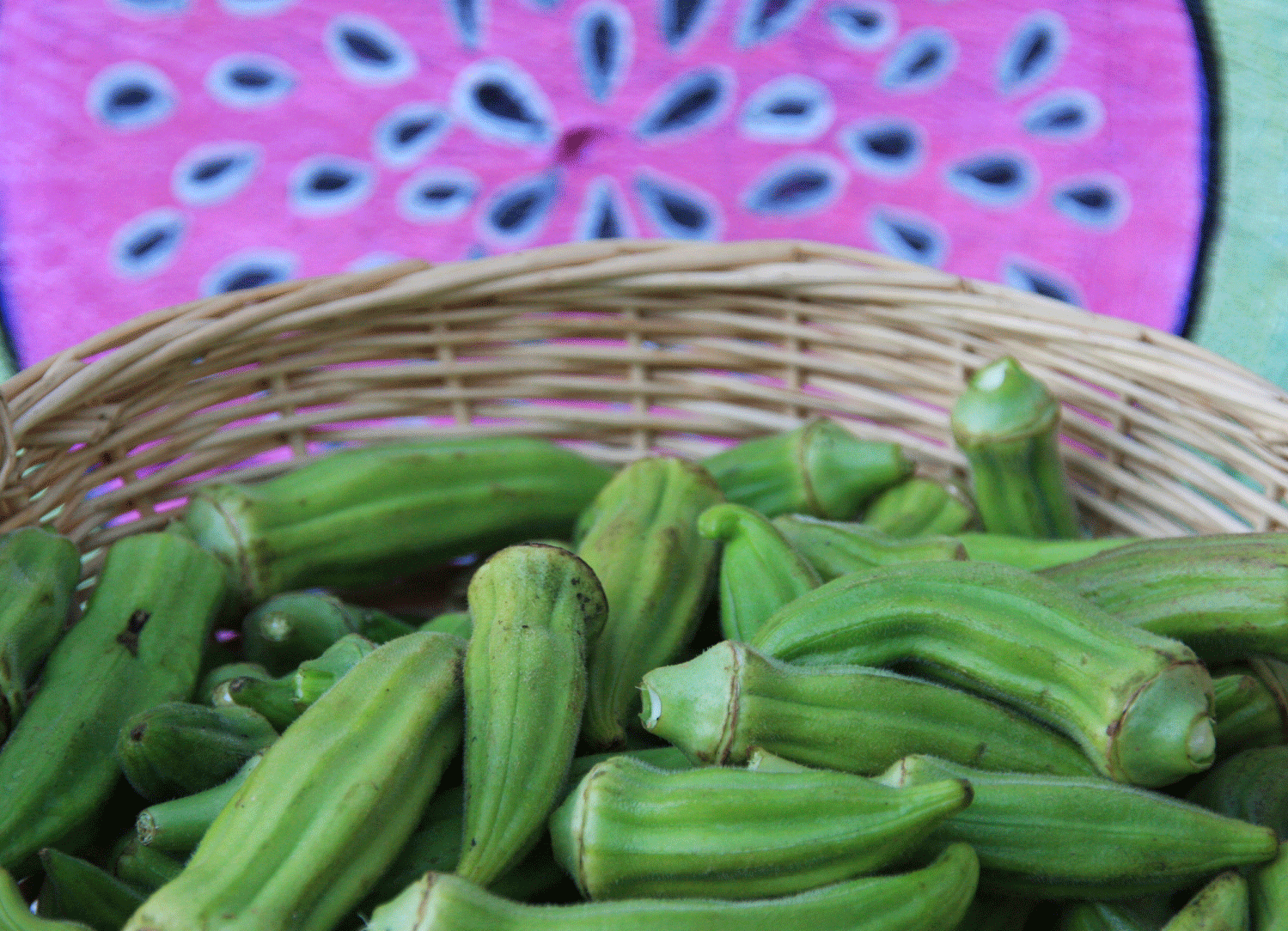 okra-vincent-eco-farm-malta