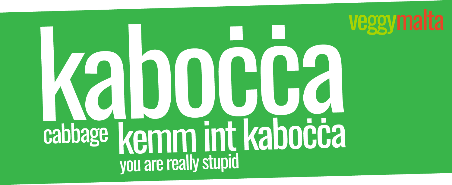 kemm-int-kabocca-you-are-really-stupid