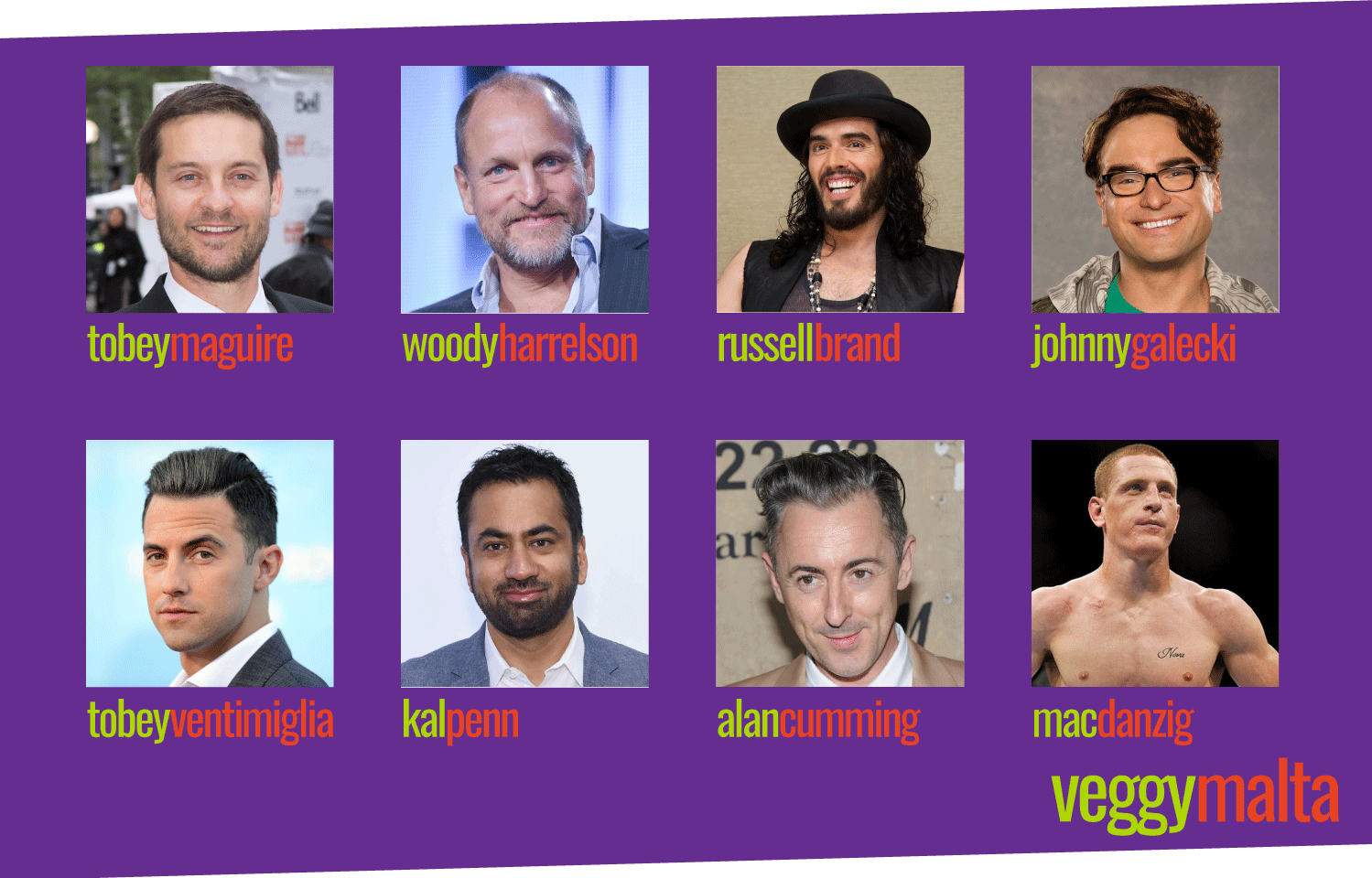 vegetarian-male-celebrities