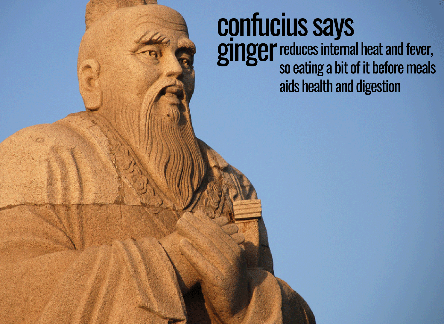 Confucius-says-ginger-aids-health-and-digestion