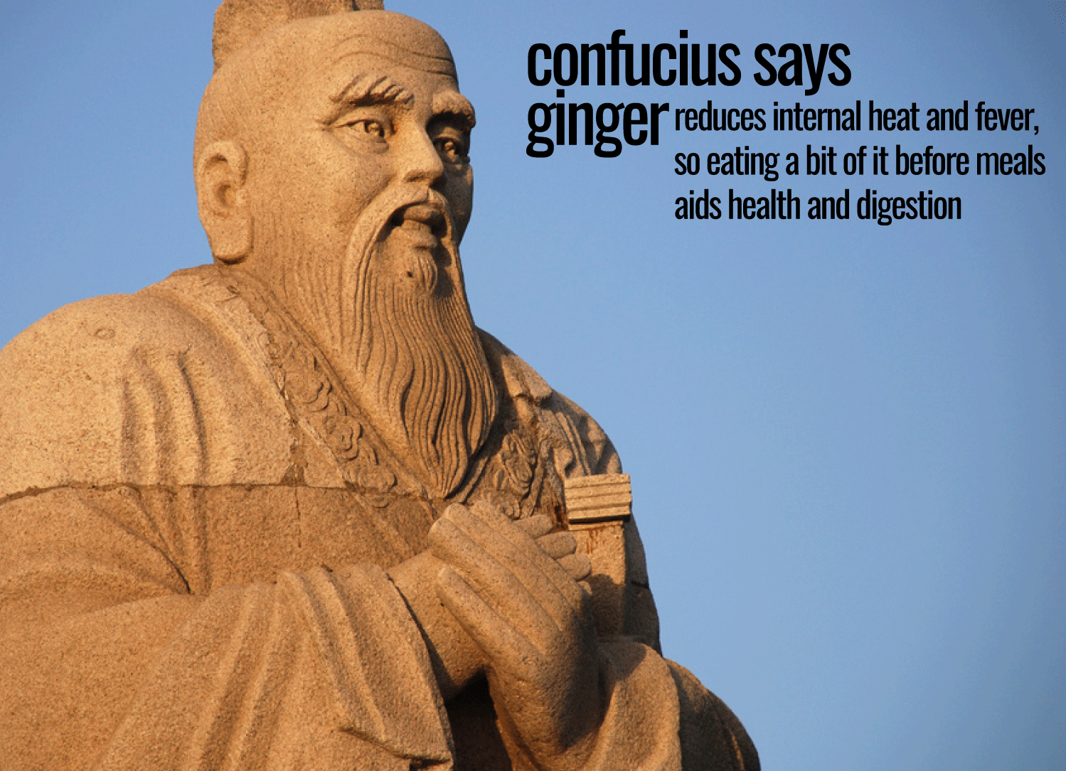 10 health benefits of ginger - just as Confucius would have recommended