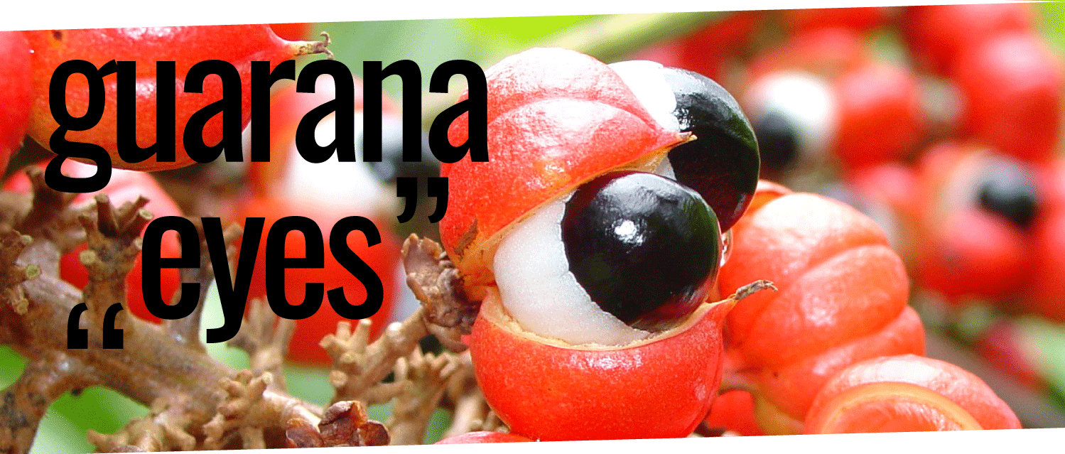 koawach-guarana-eyes