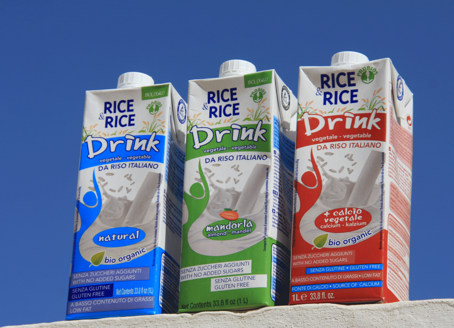 rice-&-rice-milk-vegan-main