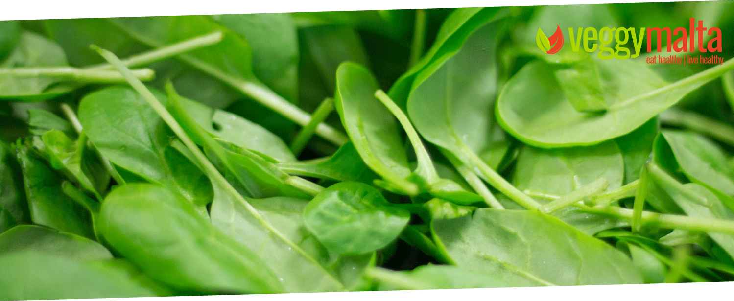 hadid-spinach-leaves