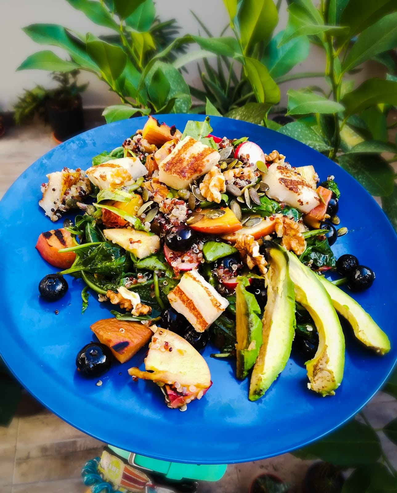 Ramona Debono Vegan Halloumi and Fruity Quinoa Summer Salad plated