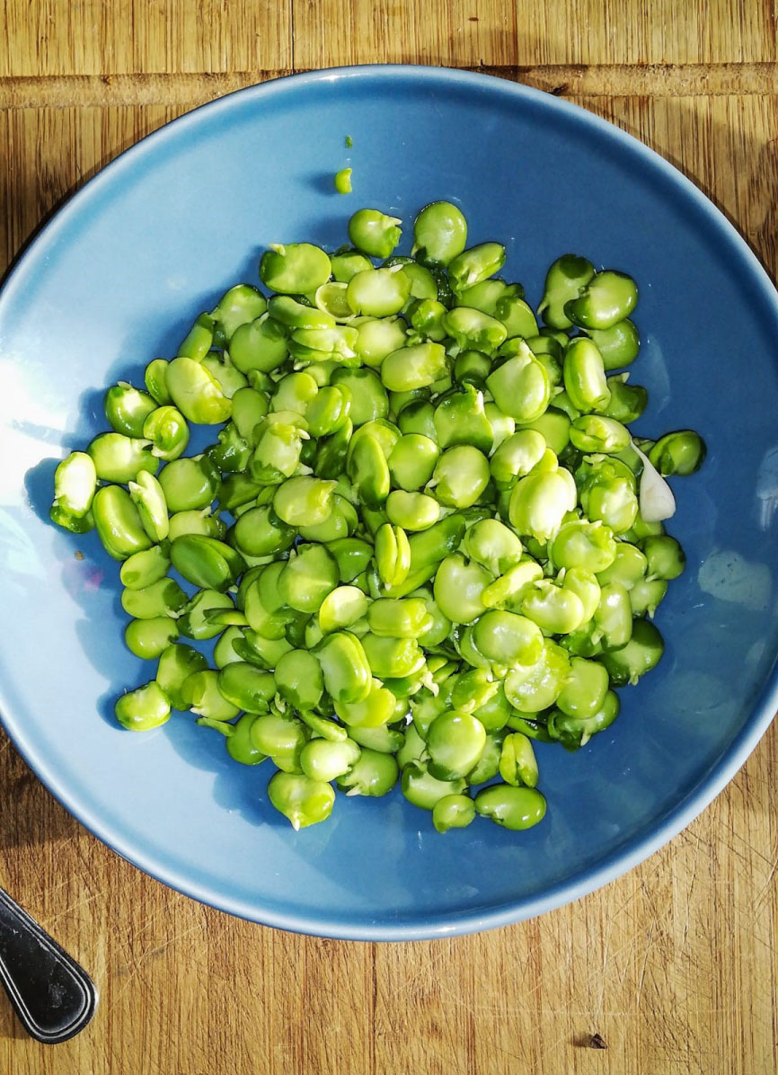 Seasonal Fava Bean and Mushroom Pasta - Veggy Malta