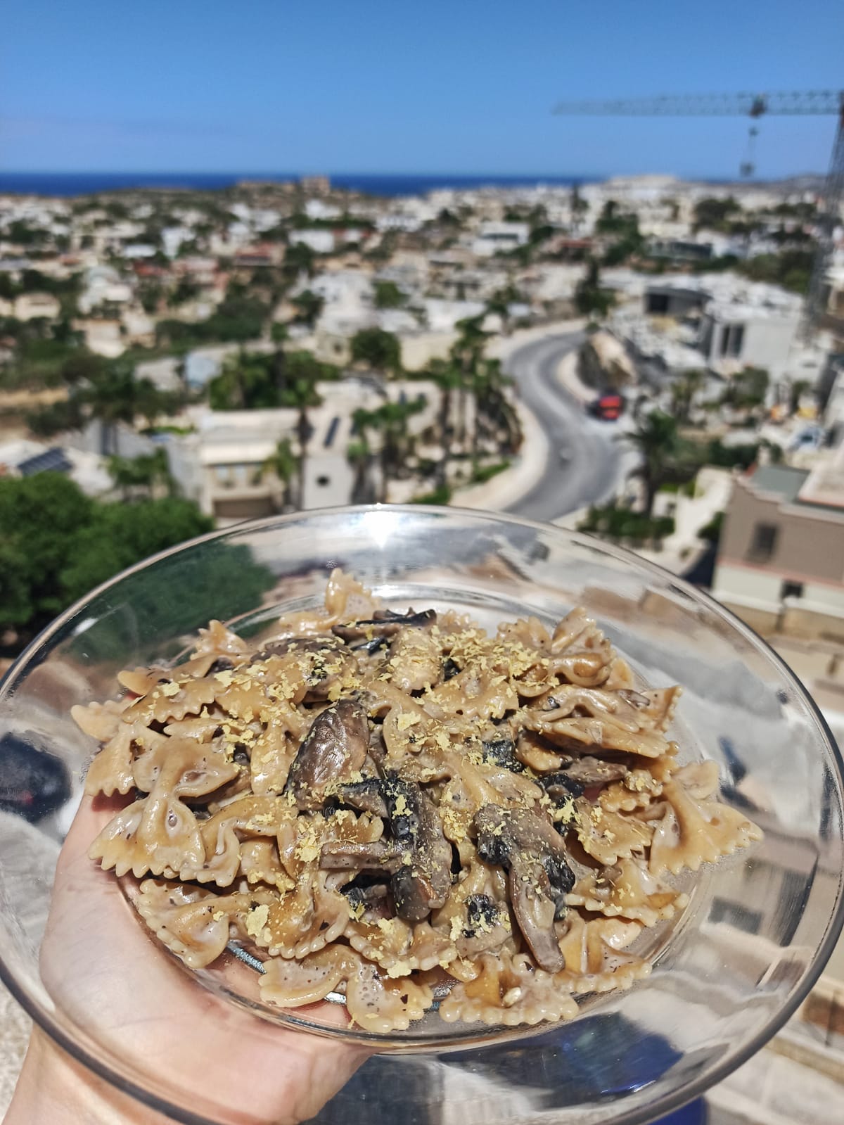 Vegan mushroom stroganoff with wholewheat pasta malta