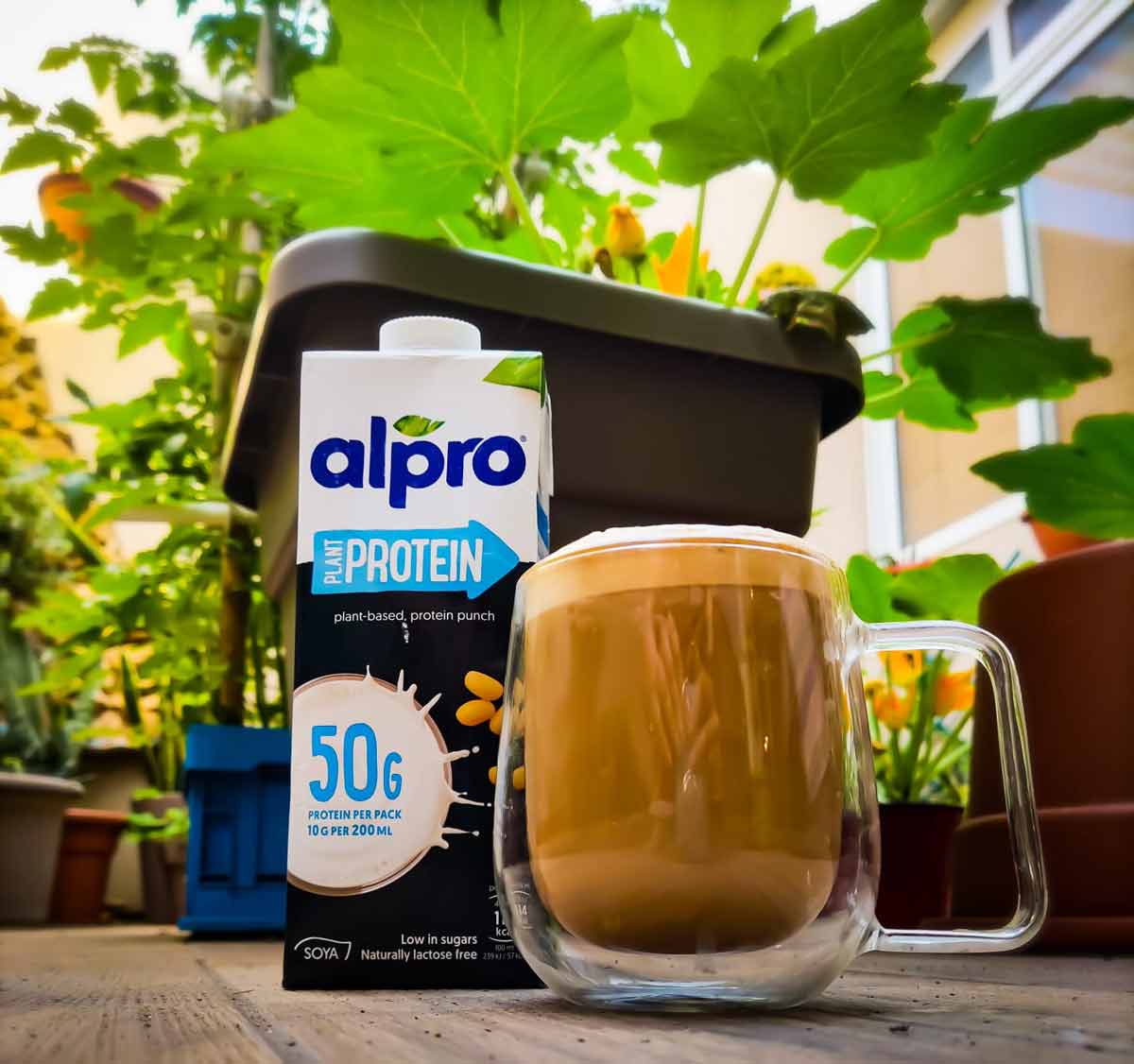 Alpro's Protein milk, Start your day off strong with Alpro's protein milk,  choose from either chocolate or plain soy. With 10g of protein per glass,  it'll give your body a